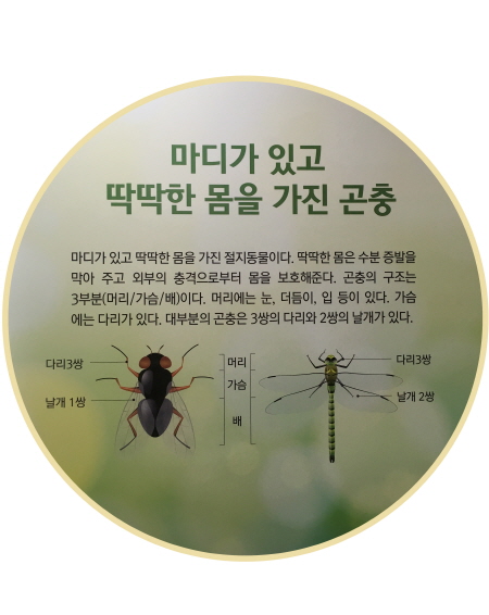 곤충이란?