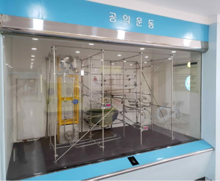 공의운동